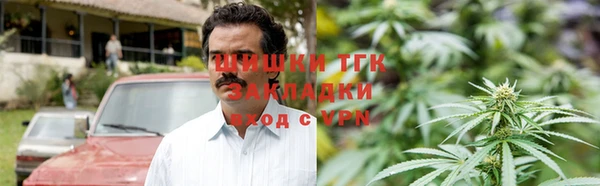 дмт Алзамай