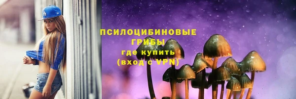 ПСИЛОЦИБИНОВЫЕ ГРИБЫ Алексин