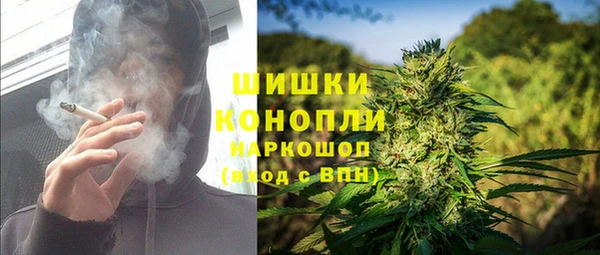 дмт Алзамай