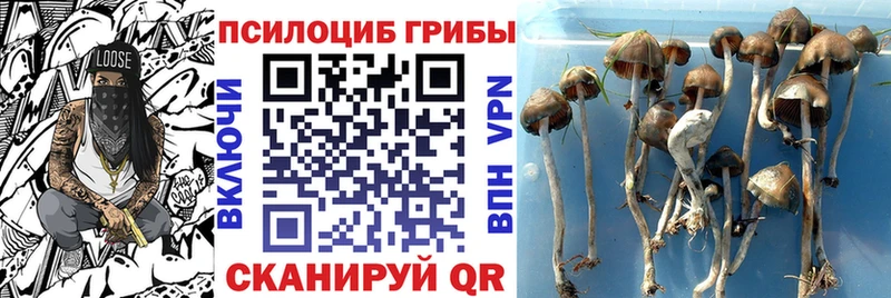 hydra маркетплейс Большой Камень Галлюциногенные грибы ЛСД